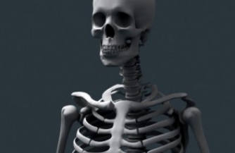  Скелет в шкафу Пилсудского