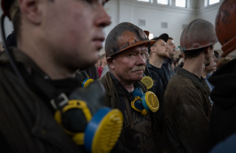 Витренко послал шахтеров собирать клубнику