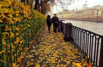 Комблаг объяснил плохую уборку листьев большим количеством зеленых насаждений в Петербурге